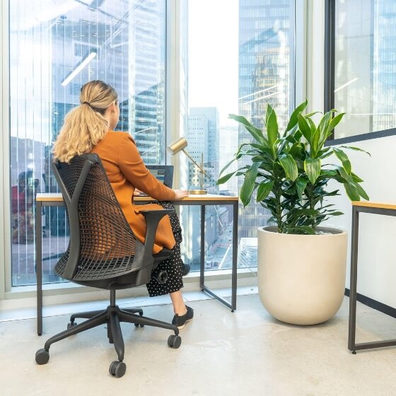 woman-working-in-corner-of-an-office